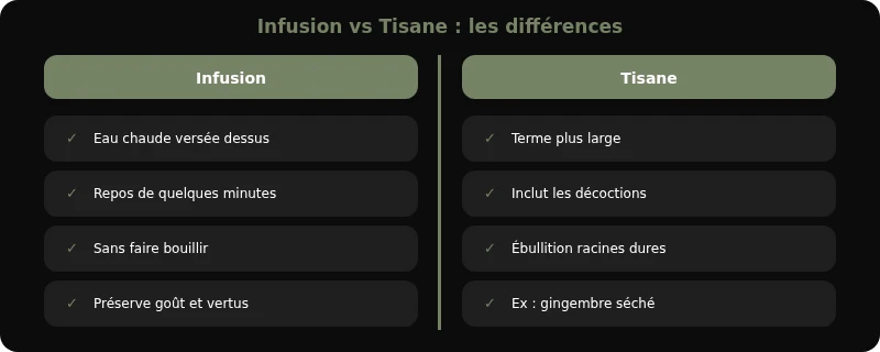 Infographie infusion bienfaits