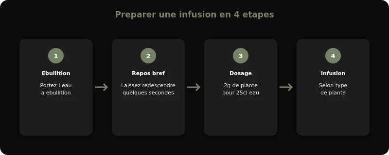 Infographie infusion bienfaits